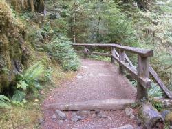 Staircase Rapids Trail Olympic National Park