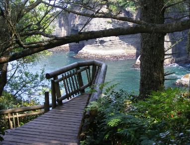 A Look-Out Point Near The End of Cape Flattery Trail Olympic NP