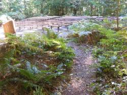 Amphitheater - Newhalem Campground North Cascades 