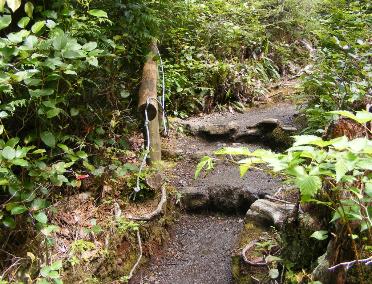 Olympic National Park Cape Flattery Rope Assist at Steps