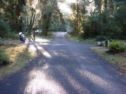 Driving Loop A Hoh Rain Forest Campground Olympic