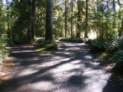 Driving Loop C Hoh Campground Olympic National Park