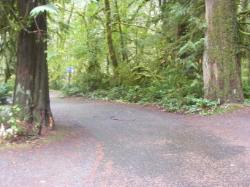 Driving Loop A Fairholme Campground Olympic National Parkv
