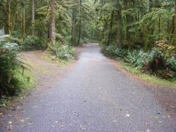 Driving Loop B Fairholm Campground Olympic NP