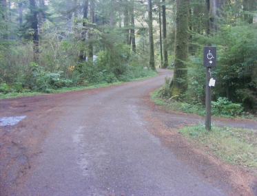 Mora Campground Olympic National Park