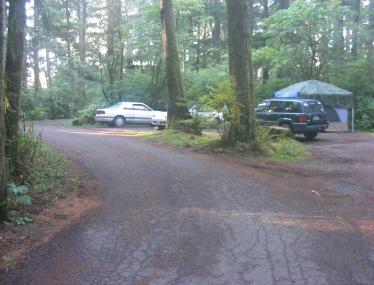 Mora Campground Olympic National Park