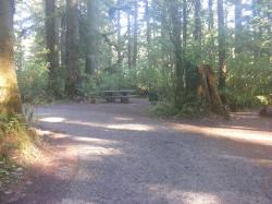 Driving Loop D Mora Campground Olympic National Park