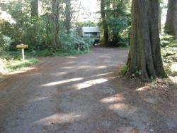 Driving Loop E Mora Campground Olympic