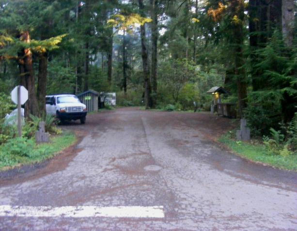 Entrance to Loop B Mora Campground Olympic National Park