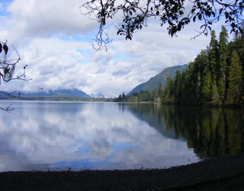 Lake Quinault Olympic National Park