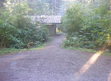  Loop A Olympic National Park Mora Campground