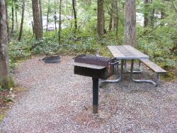 Loop A Site 10 - Newhalem Campground North Cascades 