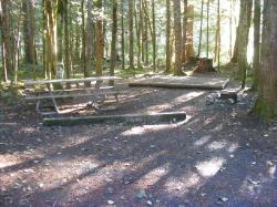 Loop A Site 13 - Newhalem Campground North Cascades 