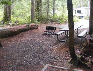 Loop A Site 6 - Newhalem Campground North Cascades 