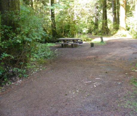 Loop A site 11 Olympic National Park Mora Campground