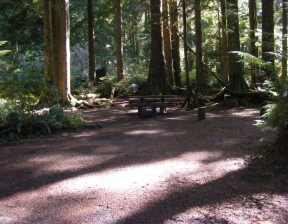 Loop A site 2 Olympic National Park Mora Campground