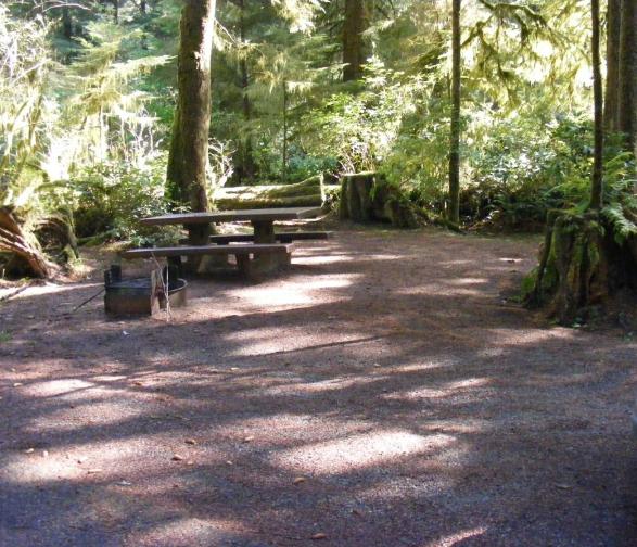 Loop A site 9 Olympic National Park Mora Campground