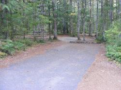 Site 31 - Newhalem Campground Loop B