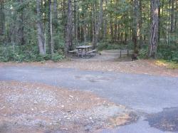 Site 35 - Newhalem Campground Loop B