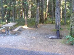 Site 43 - Newhalem Campground Loop B