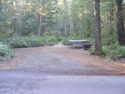 Site 44 - Newhalem Campground Loop B