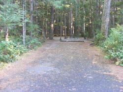 Site 46 - Newhalem Campground Loop B
