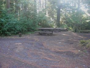 Site 81 Loop D Mora Campground Olympic