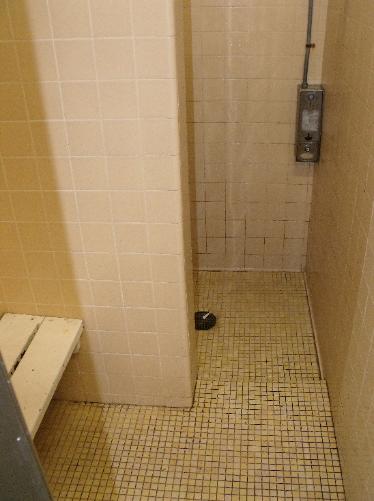 Mill Creek Rest Room Shower