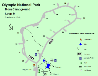 Mora Campground Loop B Detail - Olympic National Park