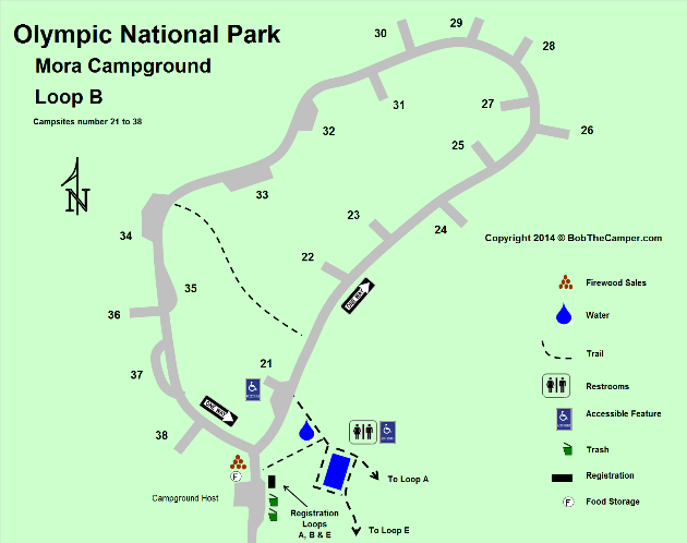 Mora Campground Loop B Detail - Olympic National Park