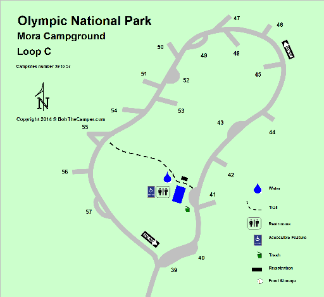 Mora Campground Loop C Detail - Olympic National Park