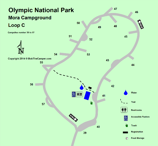 Mora Campground Loop C Detail - Olympic National Park