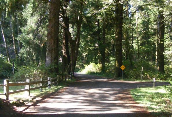 Mora Campground - Olympic National Park