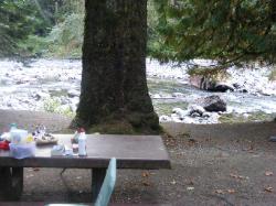 Staircase Campground Site 11 - Olympic National Park