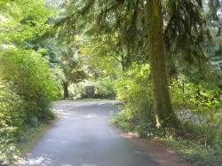 Willaby Campground Road  Olympic National Park