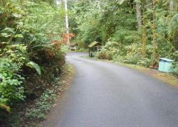 Willaby Campground Road  Olympic National Park