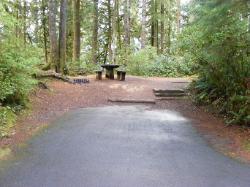 Willaby Campground Olympic National Park Site 01
