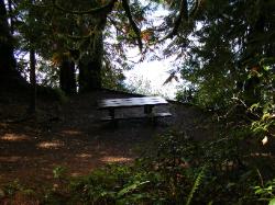 Willaby Campground Olympic National Park Site 07