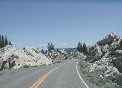 Yellowstone National Park road south of Mammoth Hot Springs